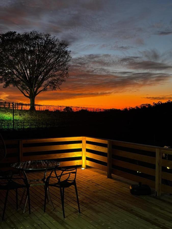 O deck ao pôr do sol, com a árvore no horizonte