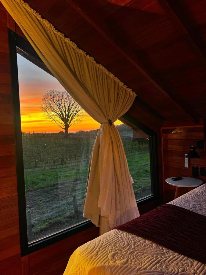 O pôr do sol e a árvore no horizonte, vistos da janela da cabana